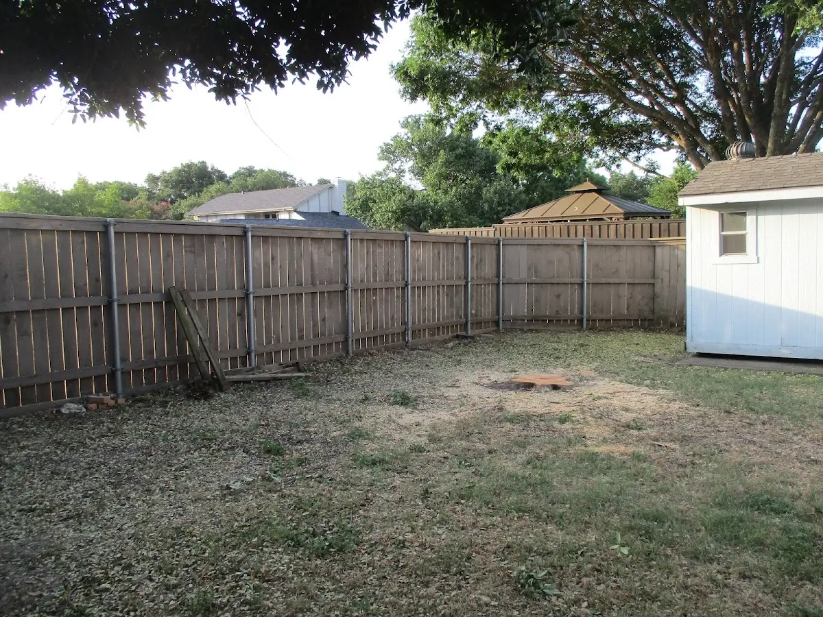 Cleared yard after professional tree removal in Port Alexander